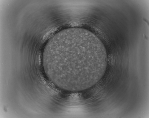 X0000102230740200808221308