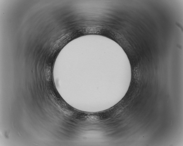 X0000102230741200808221308