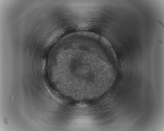 X0000102230742200808221308