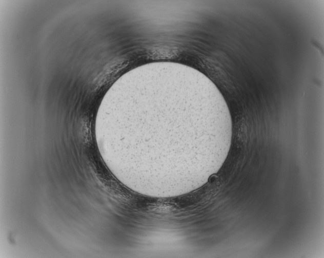 X0000102230743200808221308