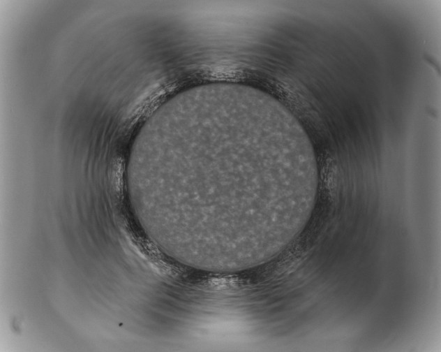 X0000102230744200808221308
