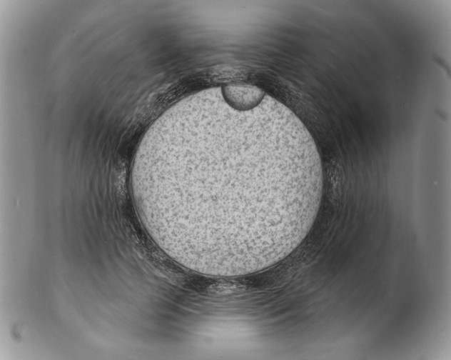 X0000102230745200808221308