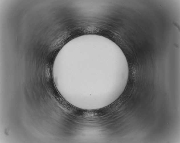 X0000102230746200808221308