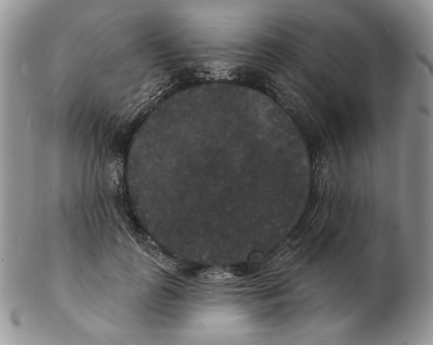 X0000102230747200808221308