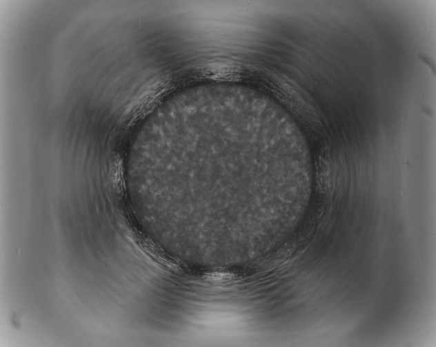 X0000102230748200808221308