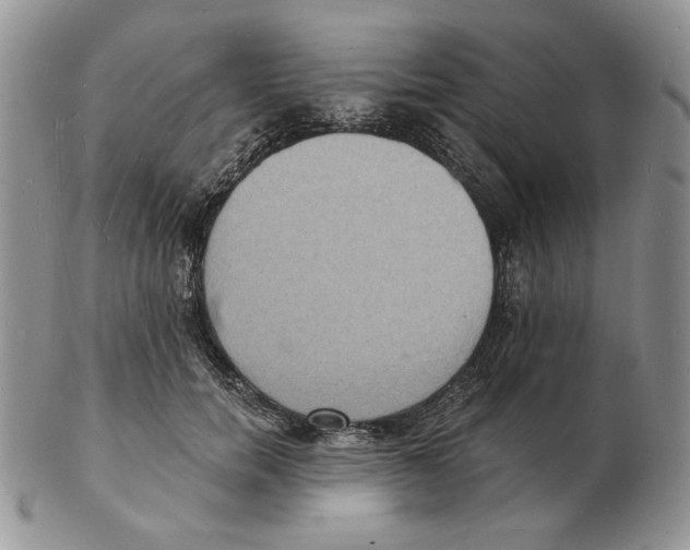 X0000102230750200808221308