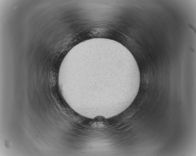X0000102230751200808221308