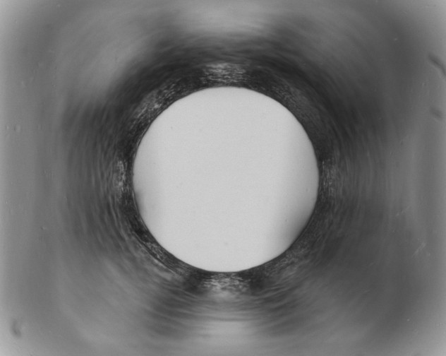 X0000102230752200808221308