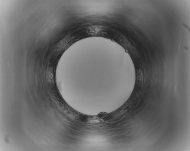 X0000102230754200808221308
