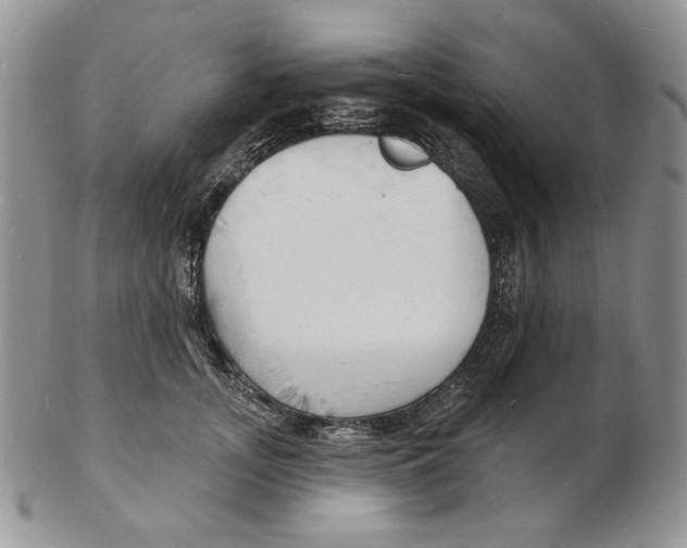 X0000102230755200808221308
