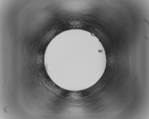 X0000102230756200808221308