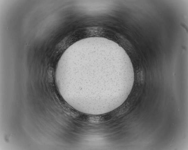 X0000102230757200808221308