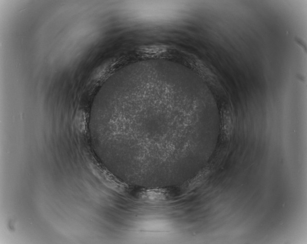 X0000102230758200808221308