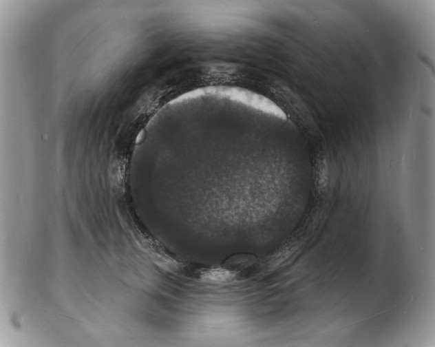 X0000102230759200808221308