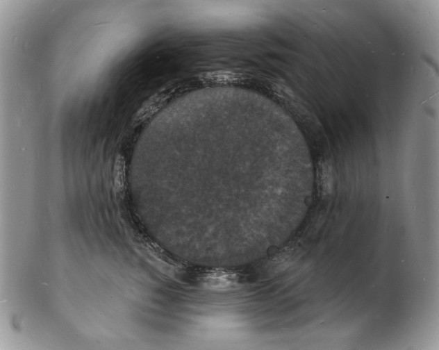 X0000102230760200808221308