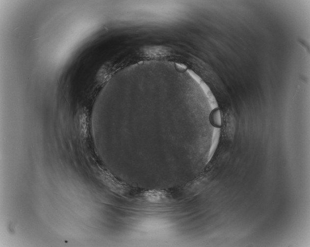 X0000102230762200808221308