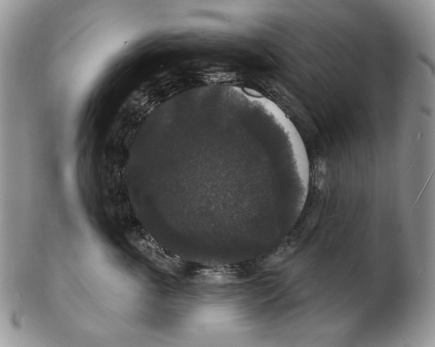 X0000102230763200808221308