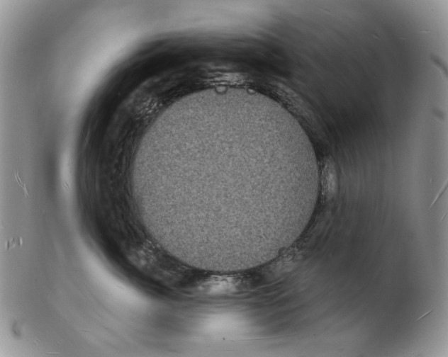 X0000102230764200808221308