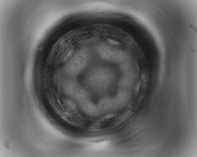 X0000102230765200808221308