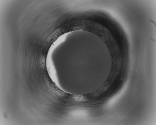 X0000102230767200808221308