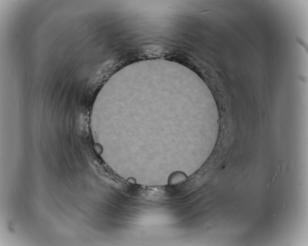 X0000102230768200808221308