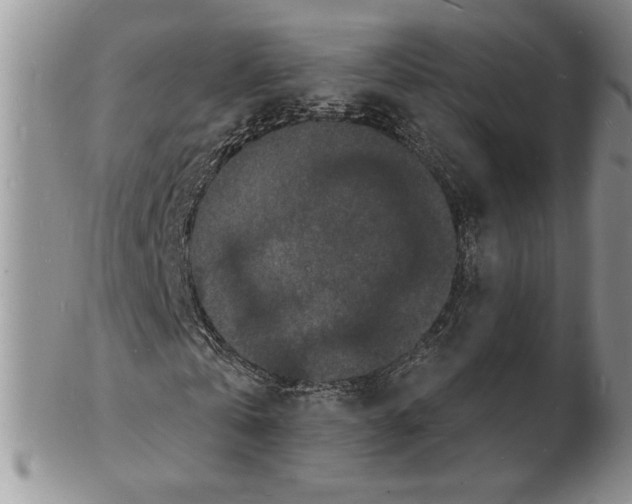 X0000102230769200808221307