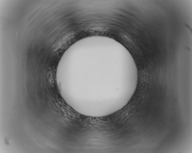 X0000102230774200808221307