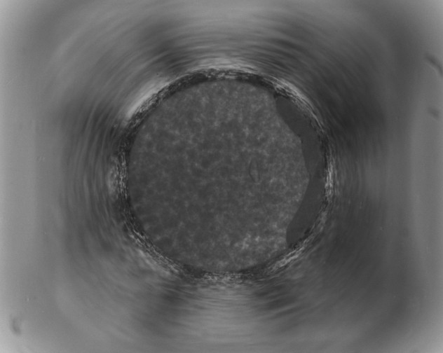 X0000102230775200808221307