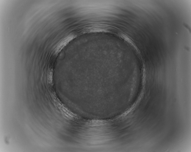 X0000102230777200808221307