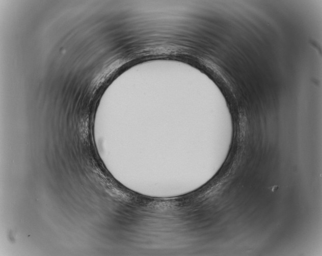 X0000102230778200808221307