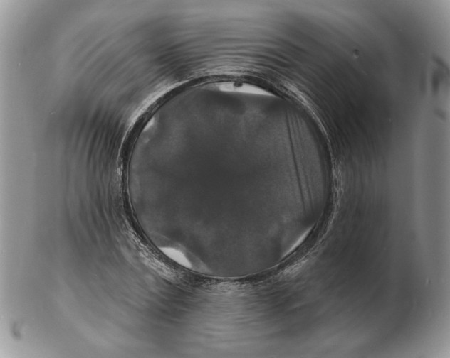 X0000102230779200808221307