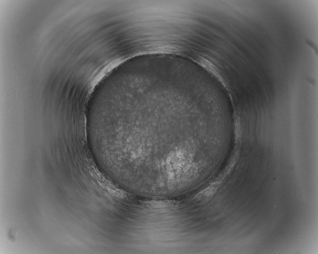 X0000102230781200808221307