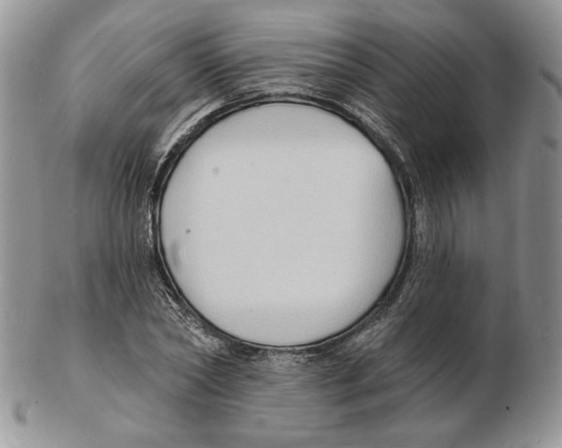 X0000102230782200808221307