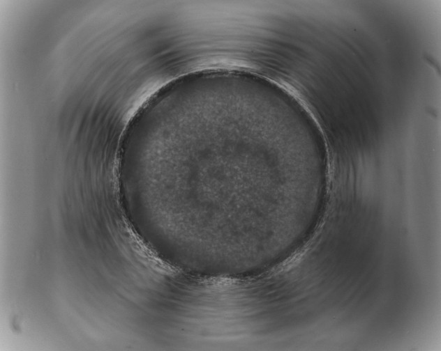 X0000102230783200808221307
