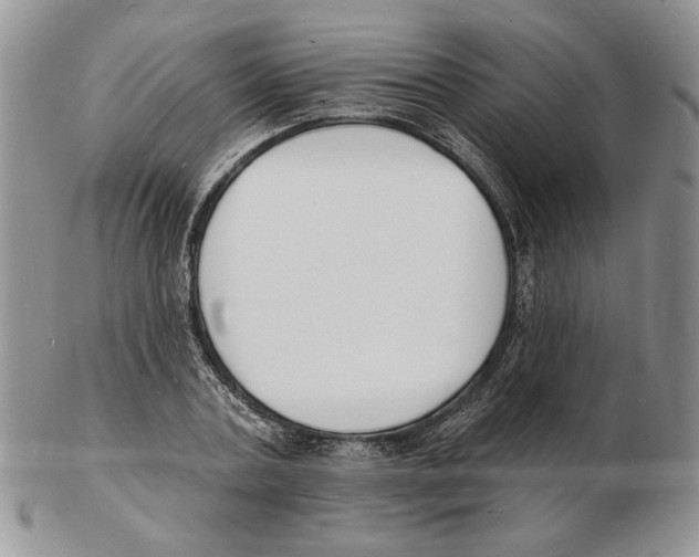 X0000102230787200808221307