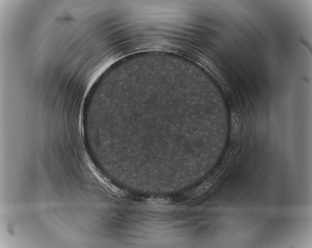 X0000102230788200808221307