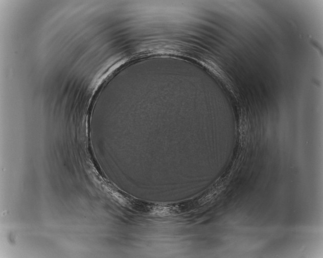 X0000102230790200808221307