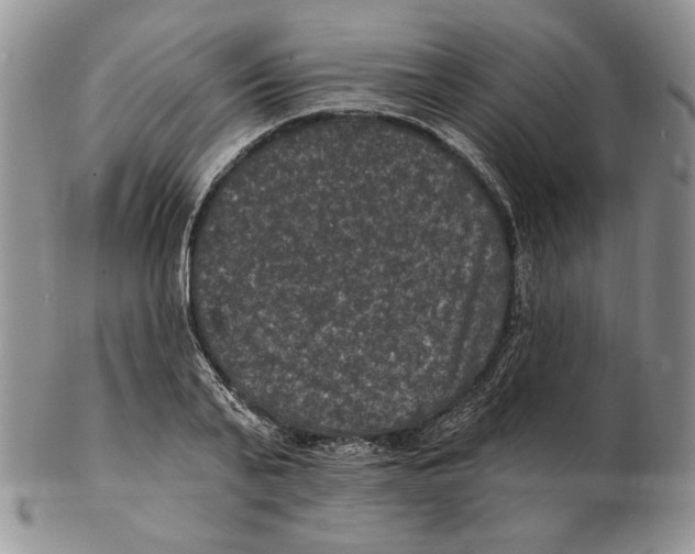 X0000102230791200808221307