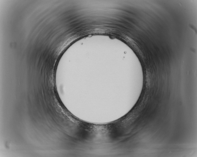 X0000102230794200808221307