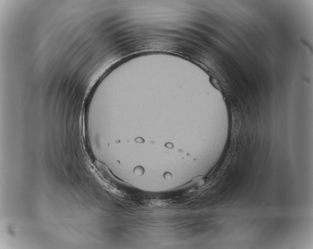 X0000102230796200808221307