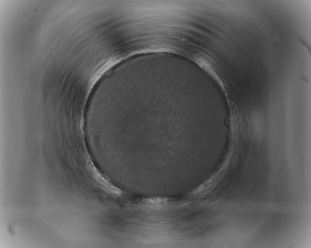 X0000102230797200808221307