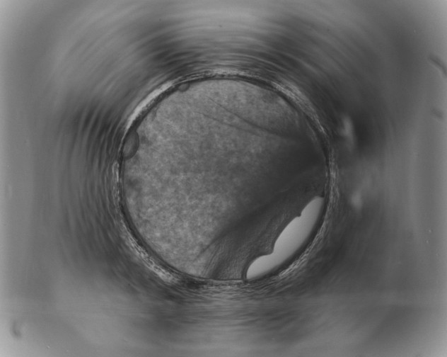 X0000102230798200808221307