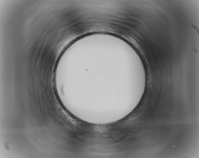 X0000102230799200808221307