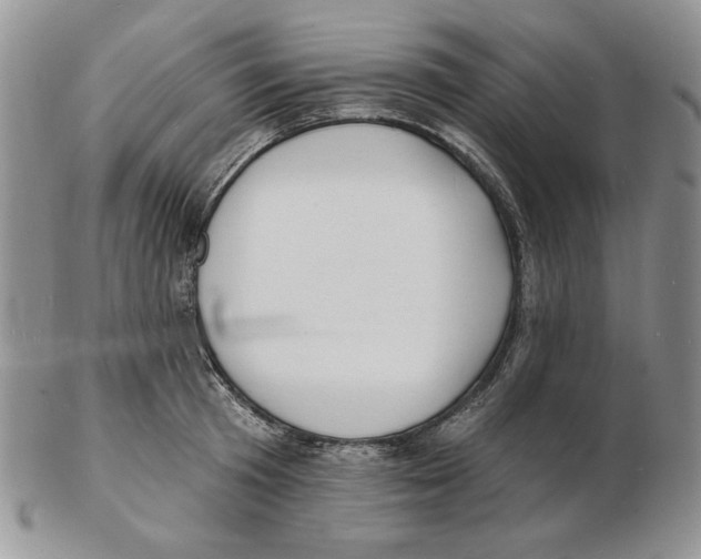X0000102230801200808221307