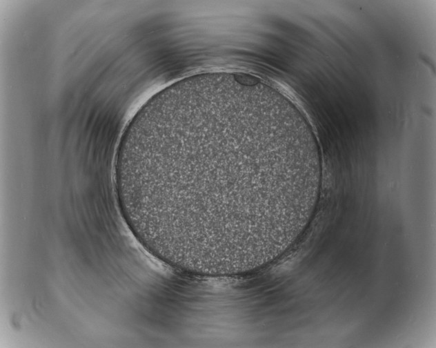X0000102230803200808221307