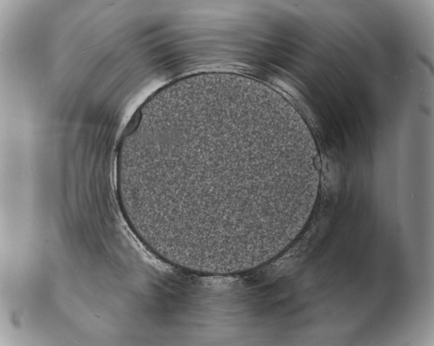 X0000102230804200808221307