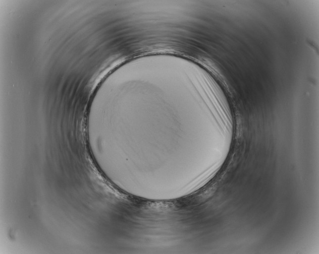 X0000102230806200808221307