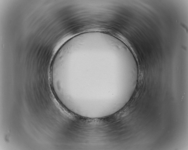 X0000102230811200808221307