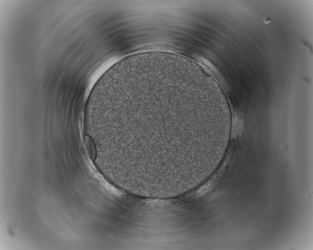 X0000102230812200808221307