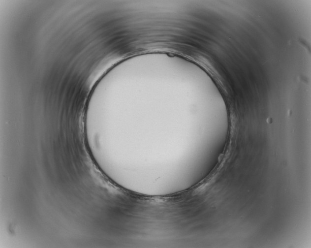 X0000102230814200808221307